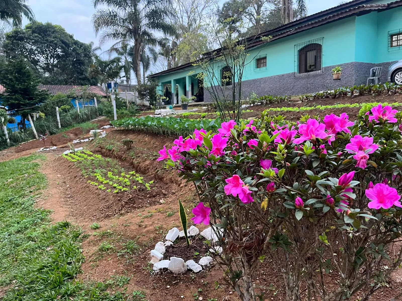 Suzano - Masculina 9