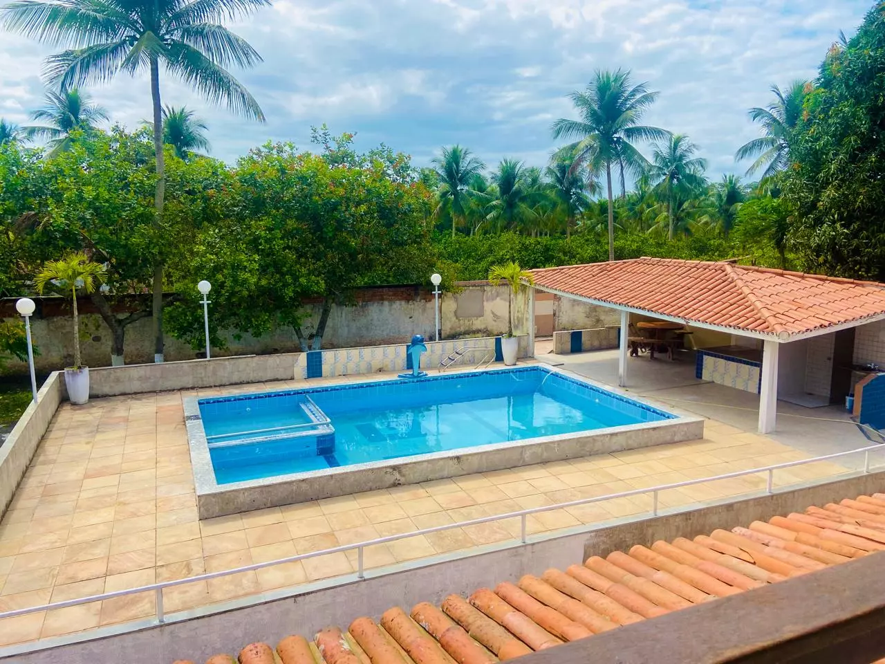 Amélia Rodrigues - Masculina 1