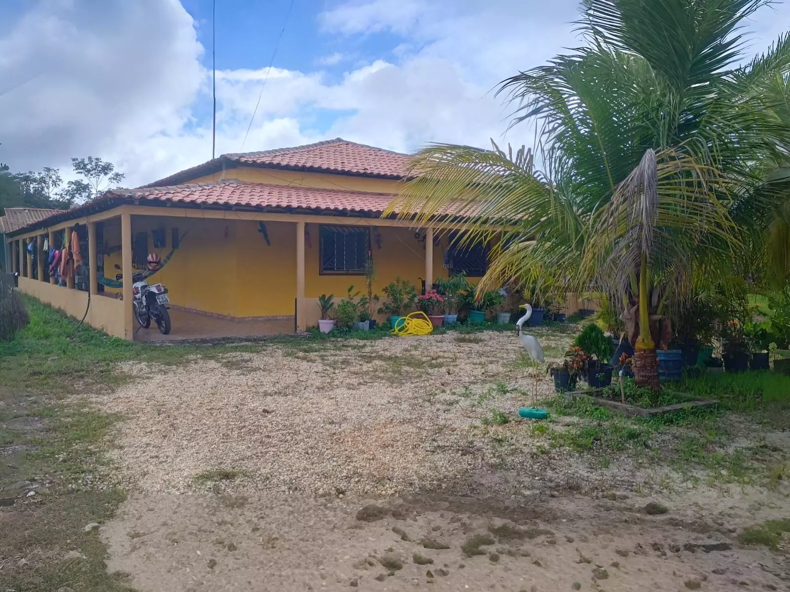 Chapadinha - Mista 1