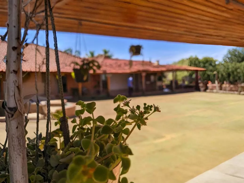 Cambará - Idoso Masculina 1