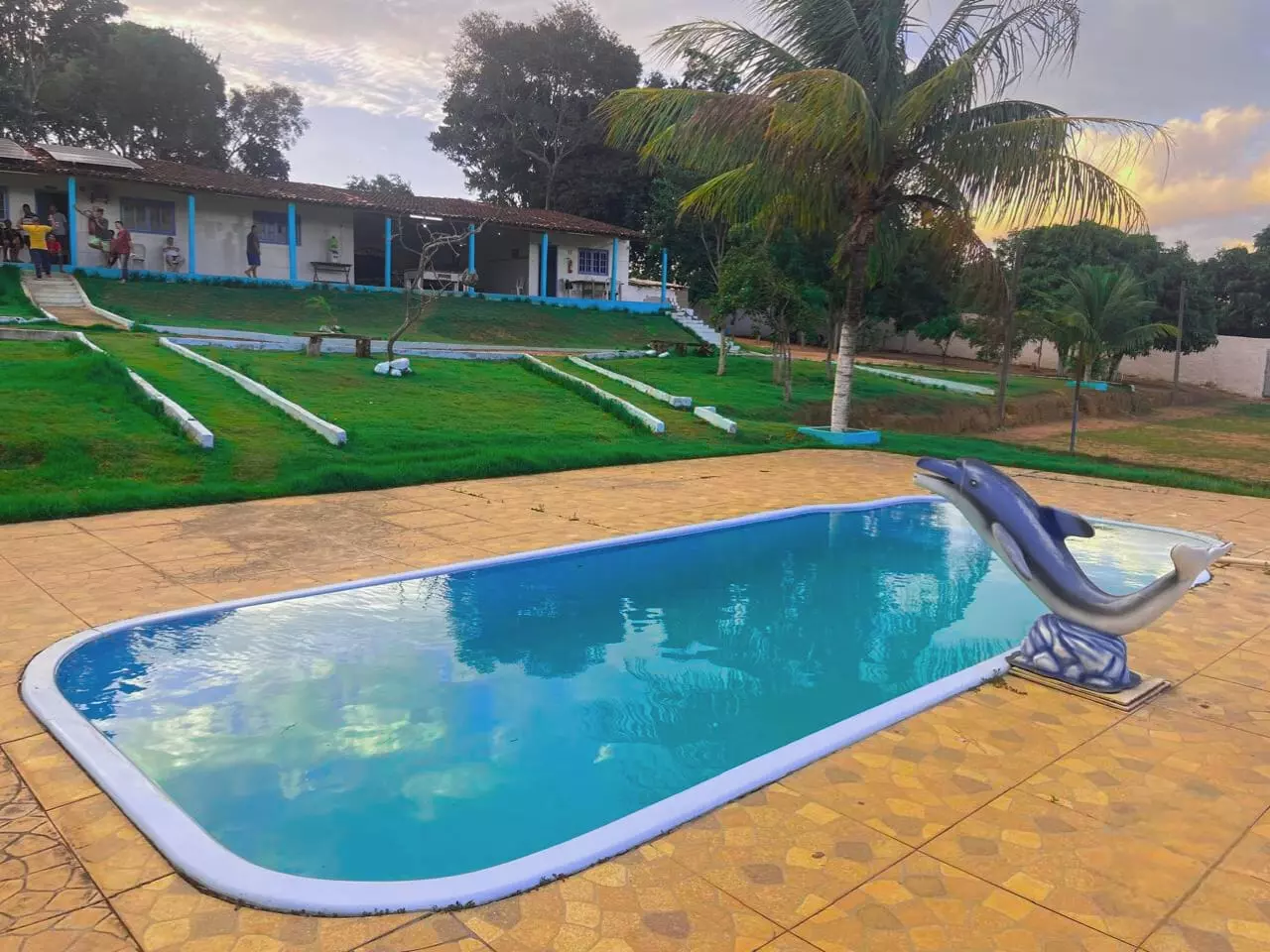 Anadia - Masculina 1