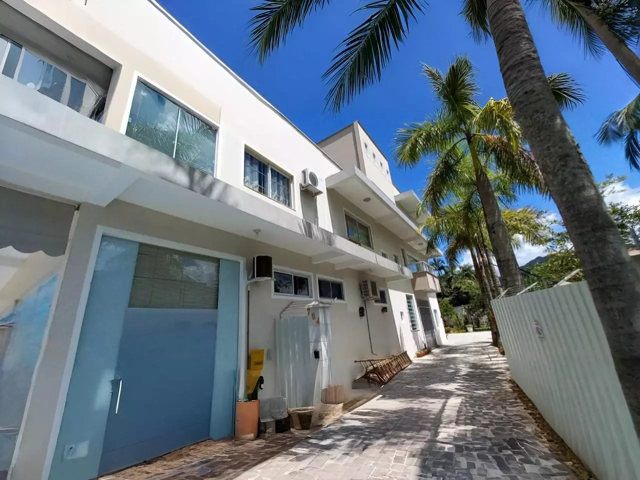 Timbó - Masculina 1