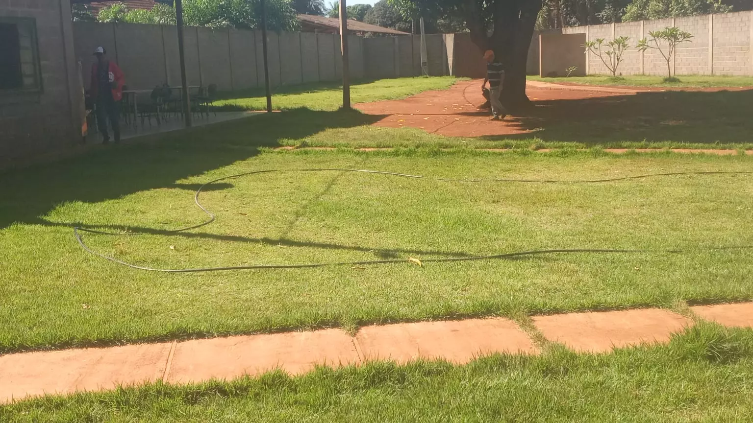 Aramina - Masculina 1