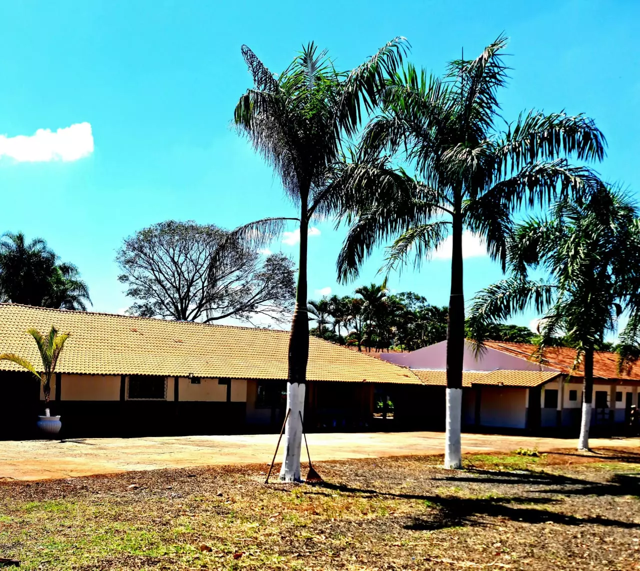 Araraquara - Masculina 3