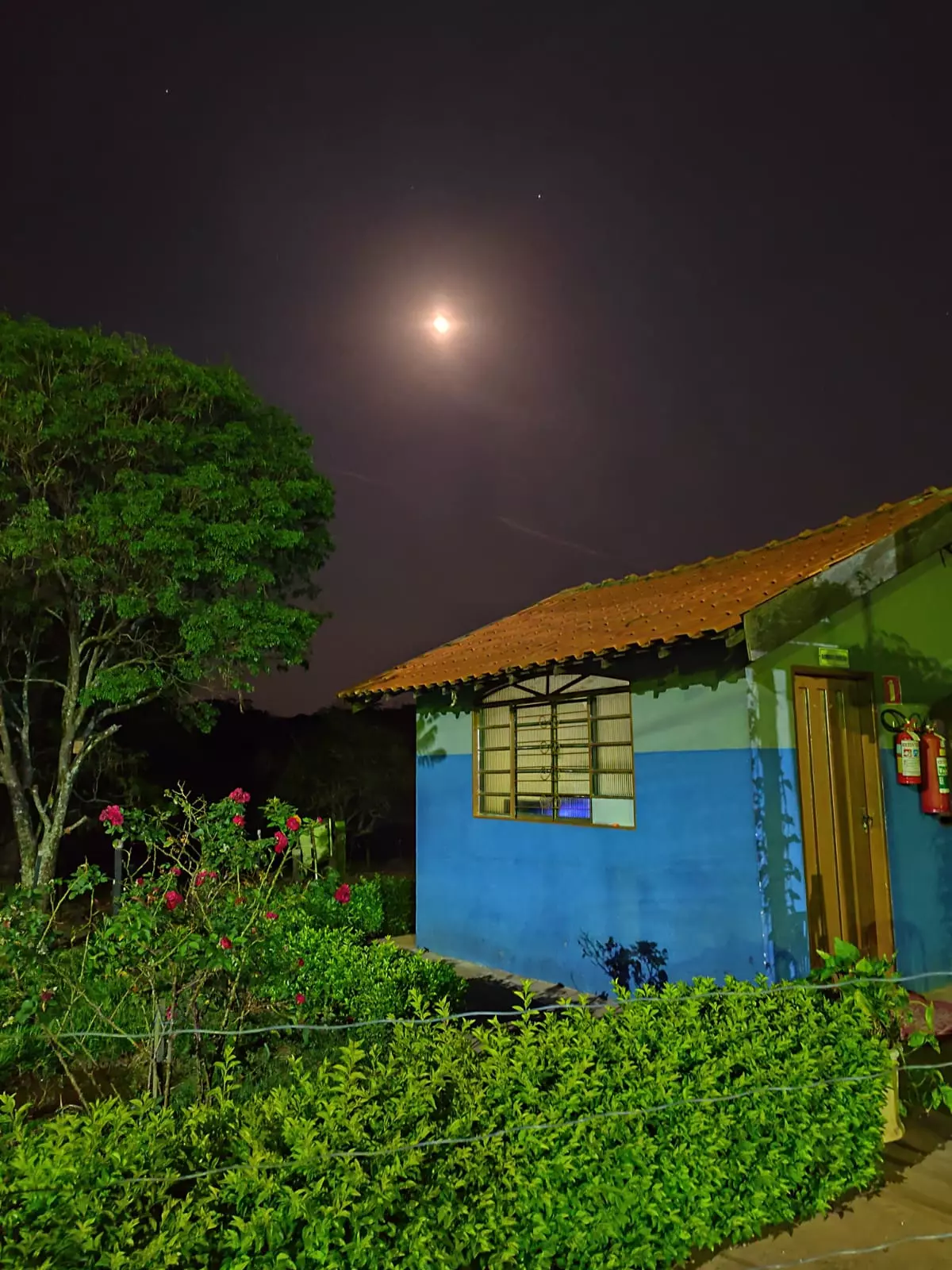 Cedral - Masculina 1