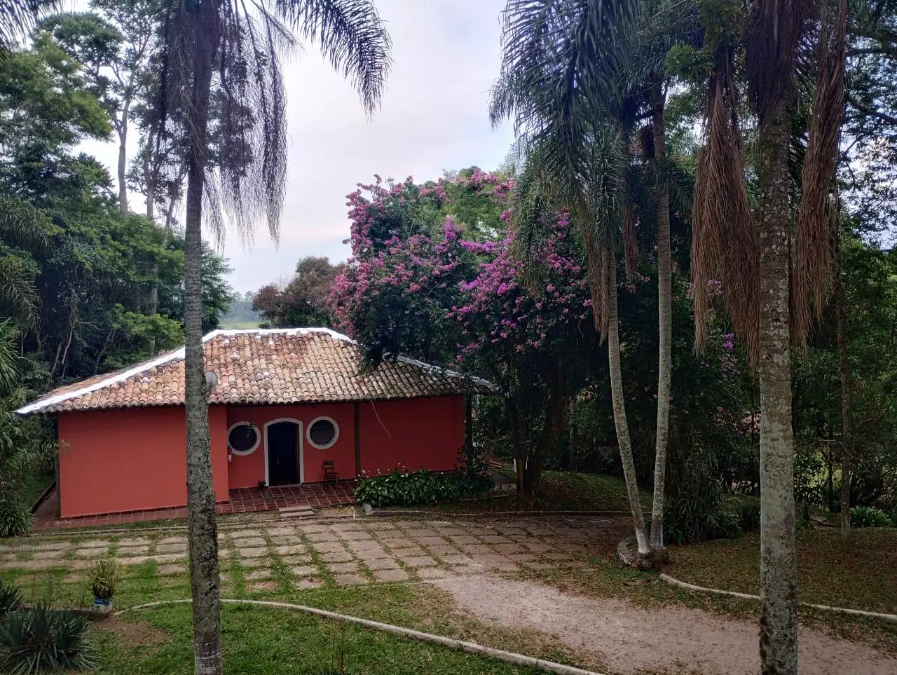 São Roque - Masculina 5