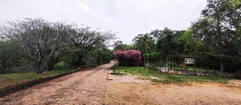 Sorocaba - Masculina 4